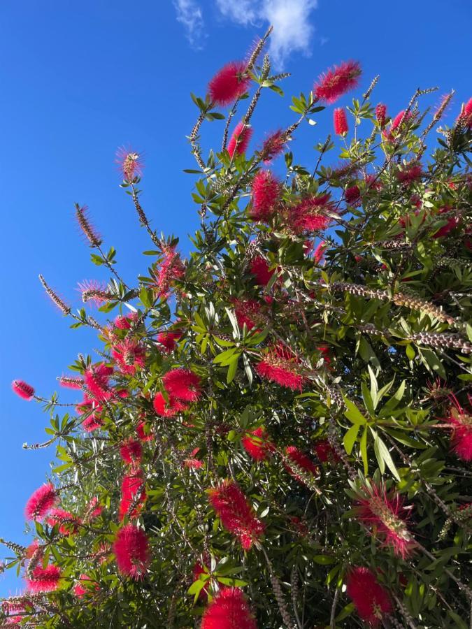 Jardines Apartment Sitio de Calahonda Dış mekan fotoğraf